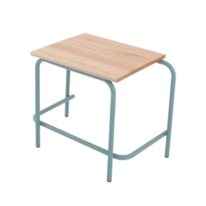Standard Single Saligna School Desk